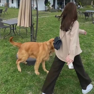 我心狂野
