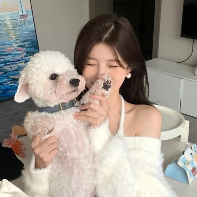 守护解放西第三季